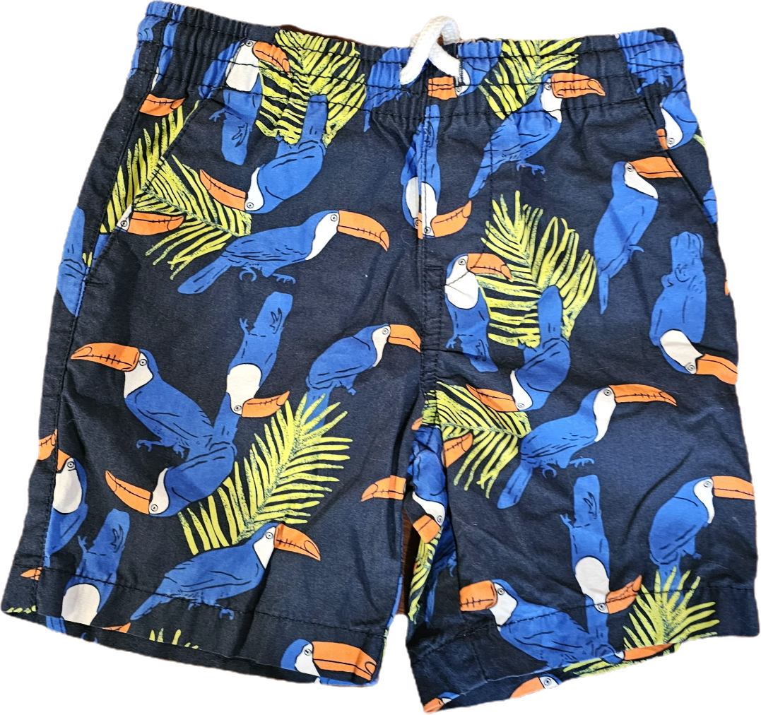 Joe Fresh Shorts 3T