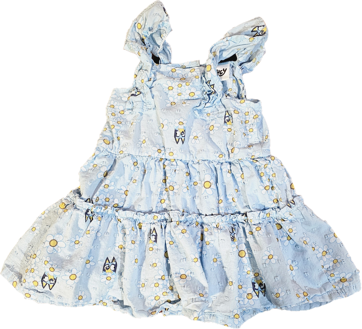 Bluey Dress