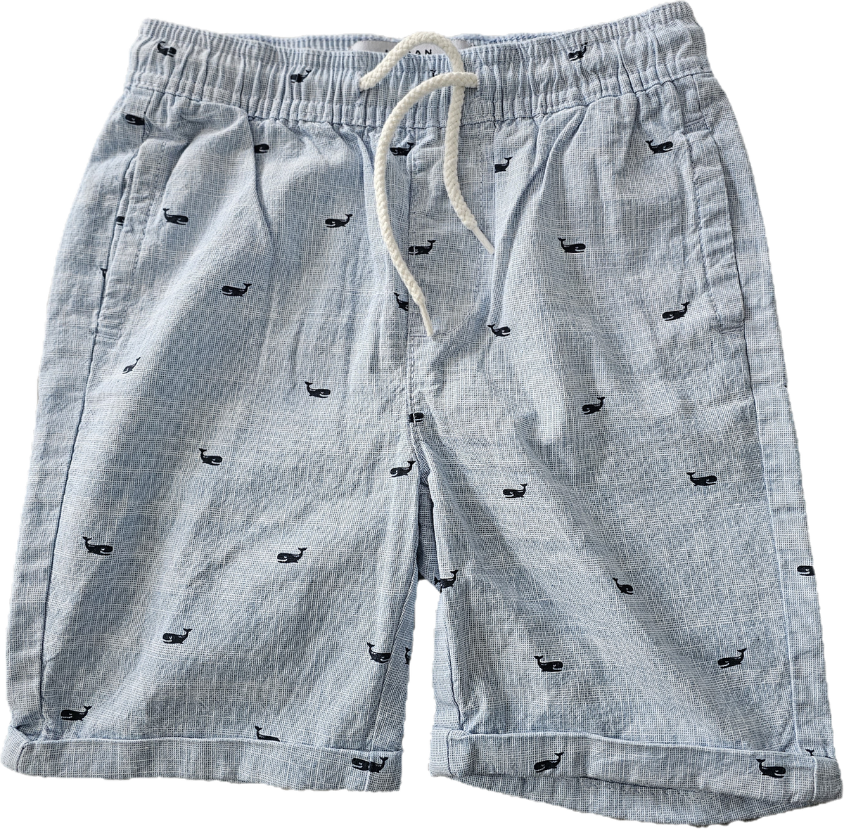 Urban Heritage Youth Shorts Whales 6