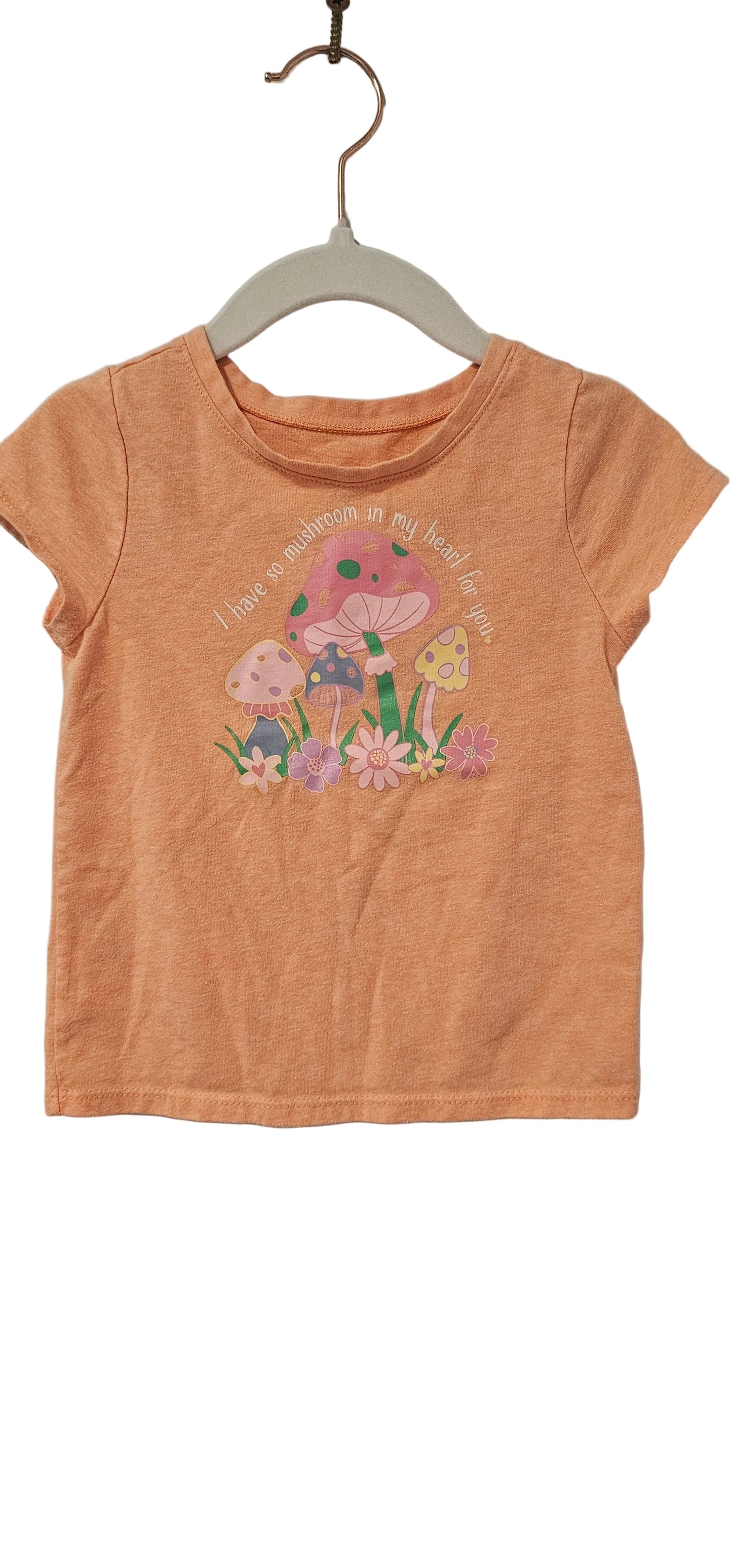 Garanimals T Shirt 2T