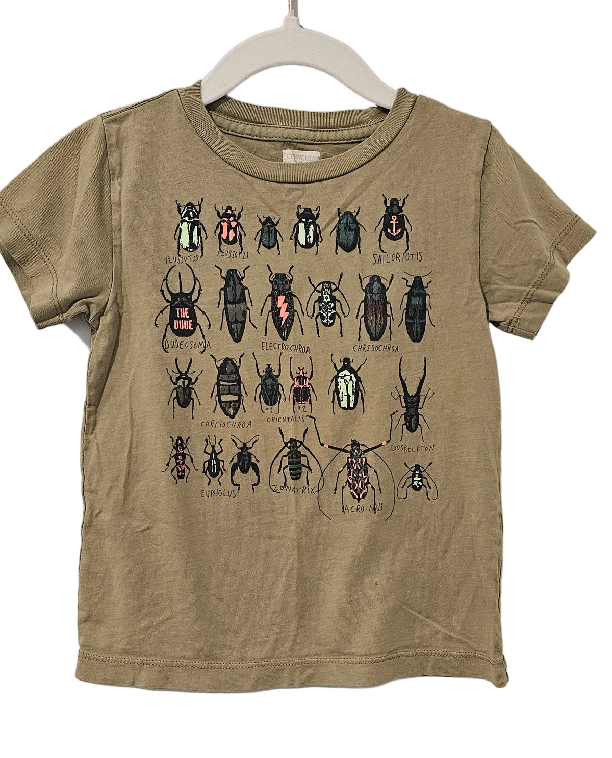 Crewcut Bug T Shirt 2T