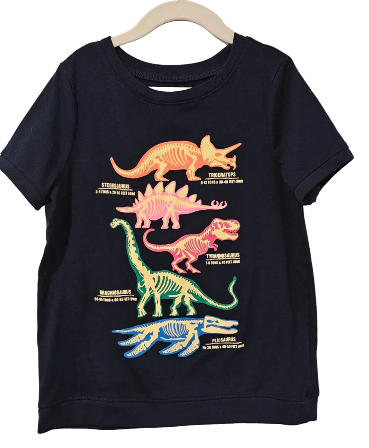 Land's End Dino T Shirt 10
