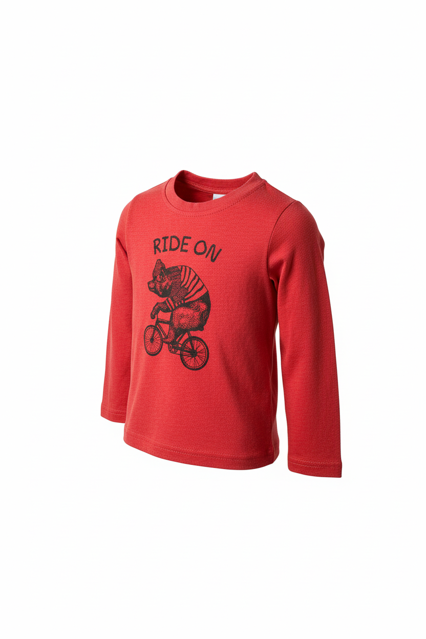 Long Sleeved shirt 18m
