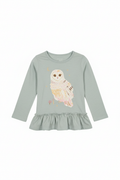 Long Sleeved Shirt 2T $6