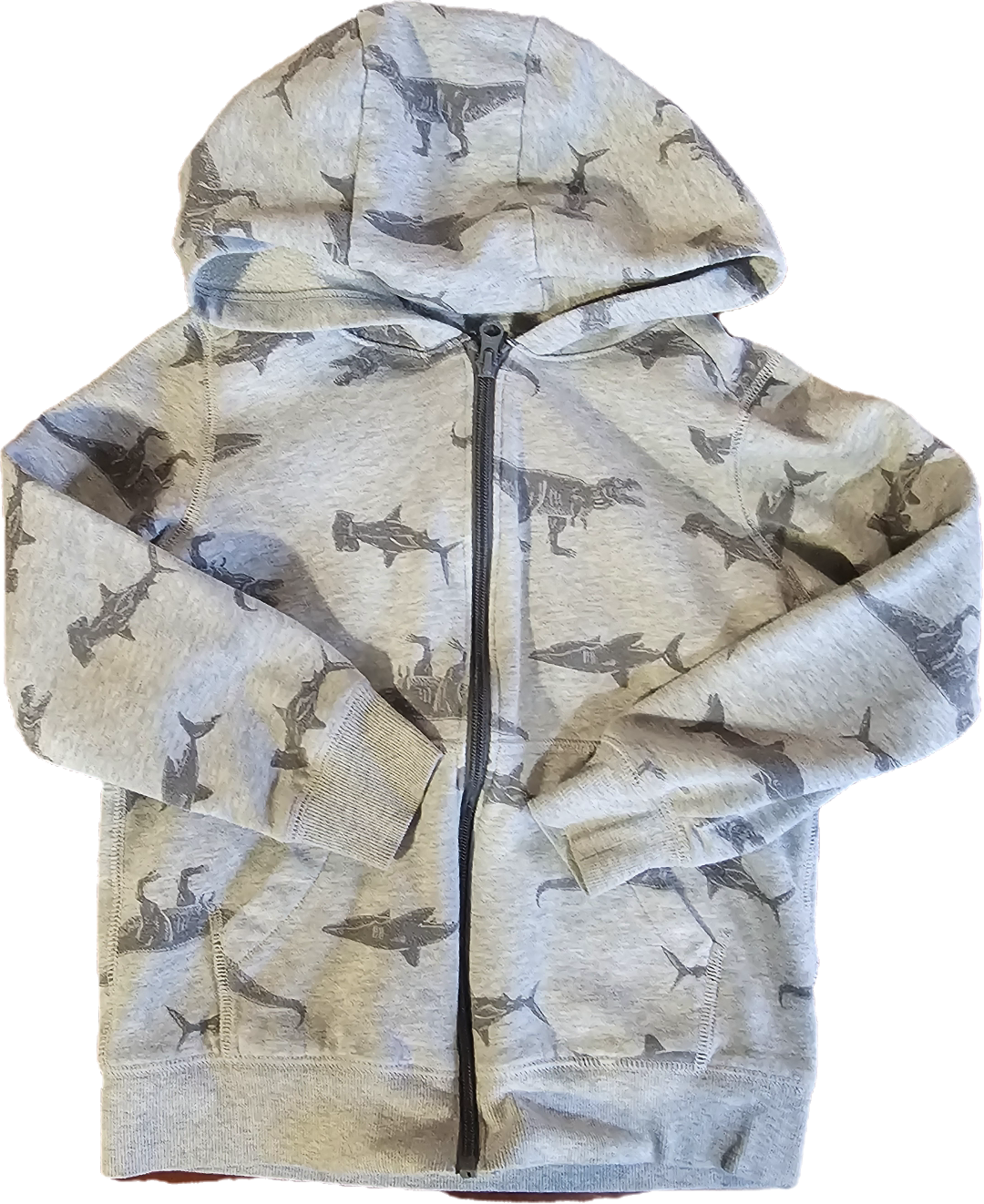 Carter's Hoodie 8