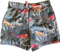 The Children's Place Shorts