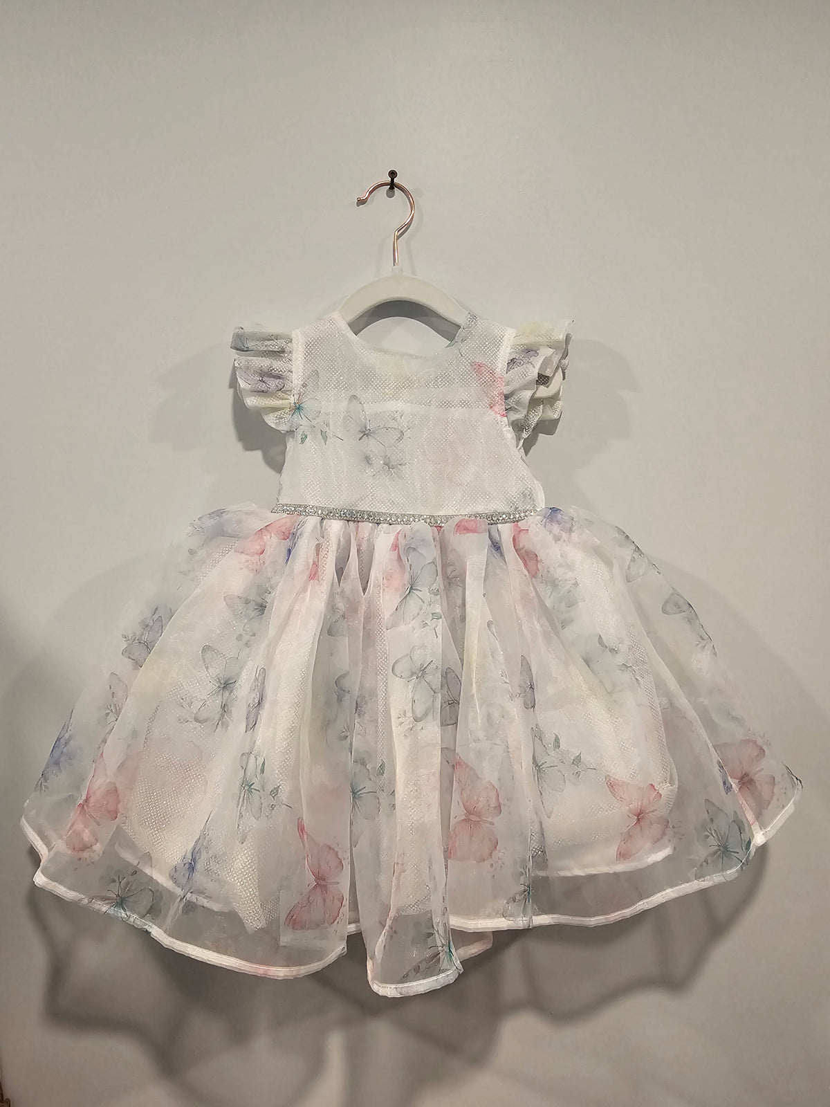 Blueberi Dress 3T