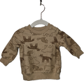 Carter's Sweatshirt with Bears 0-3m