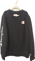 Champion Sweatshirt 10