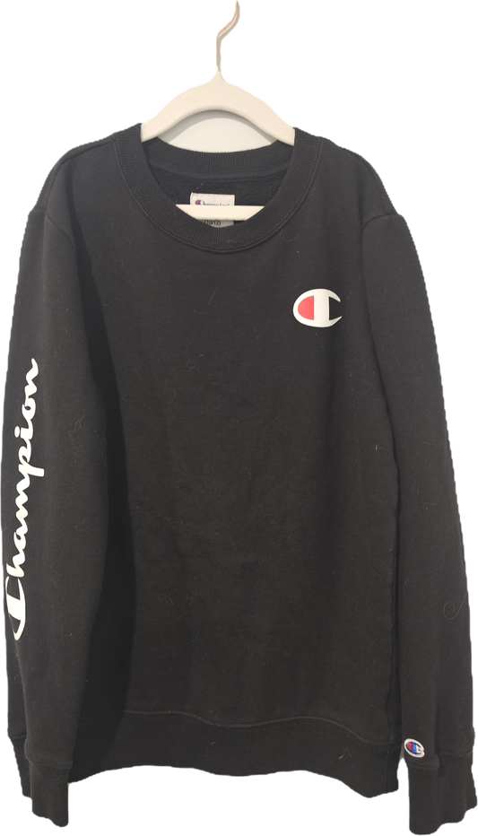 Champion Sweatshirt 10