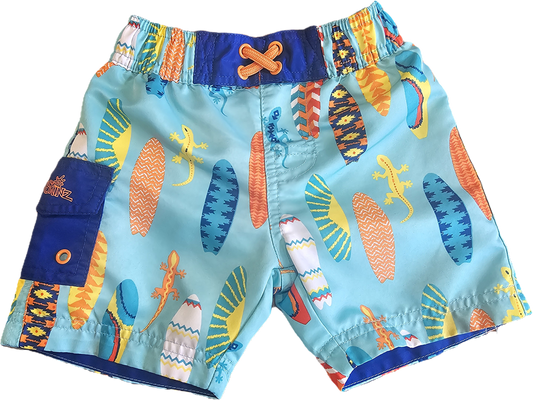 Swim Shorts and Hat Surfboards and Lizards 12m