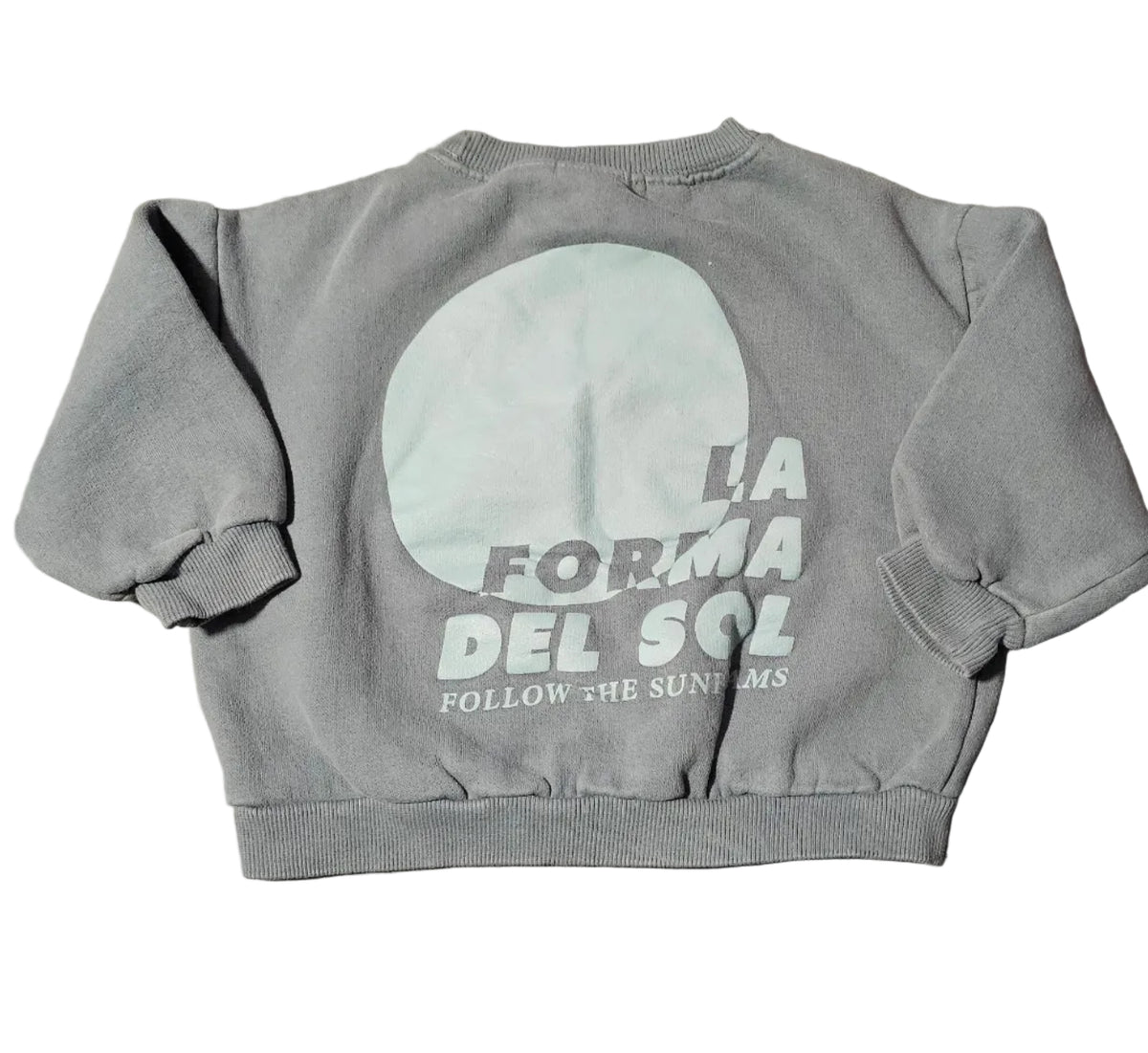 Zara baby/kids crewneck sweatshirt 2-3