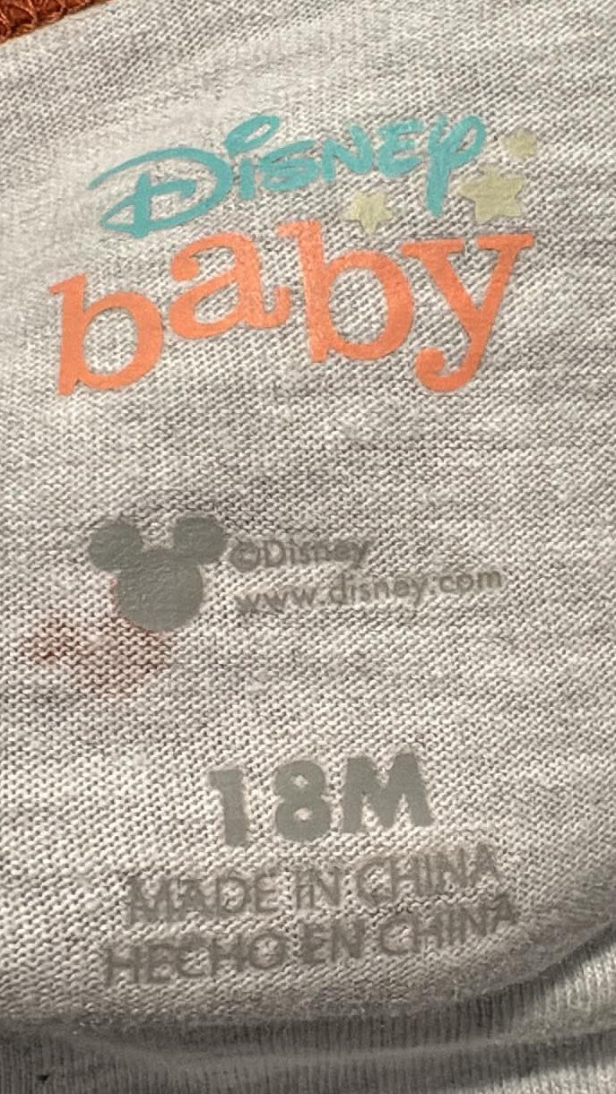 Disney Baby label showing size 18M