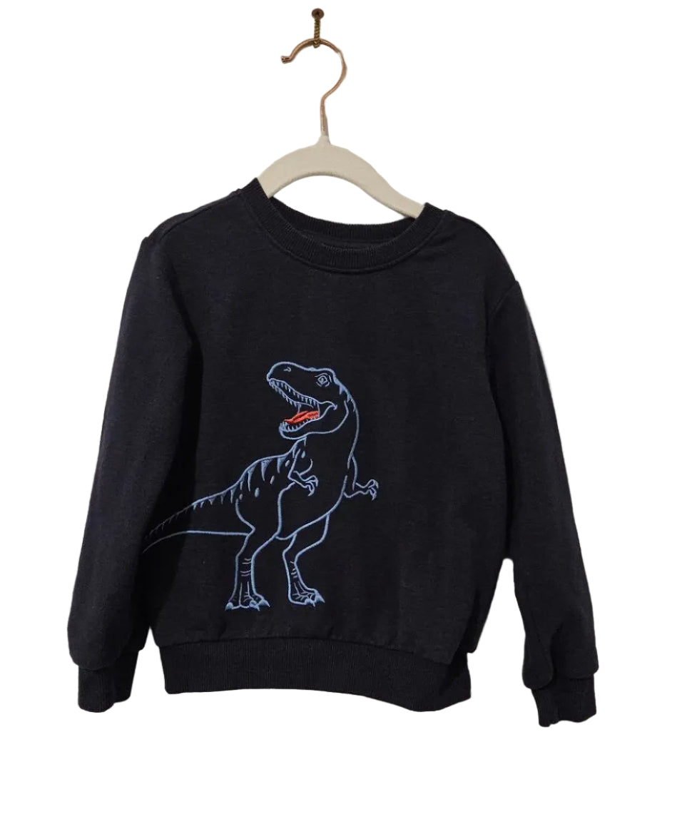 Navy dinosaur sweatshirt, front view