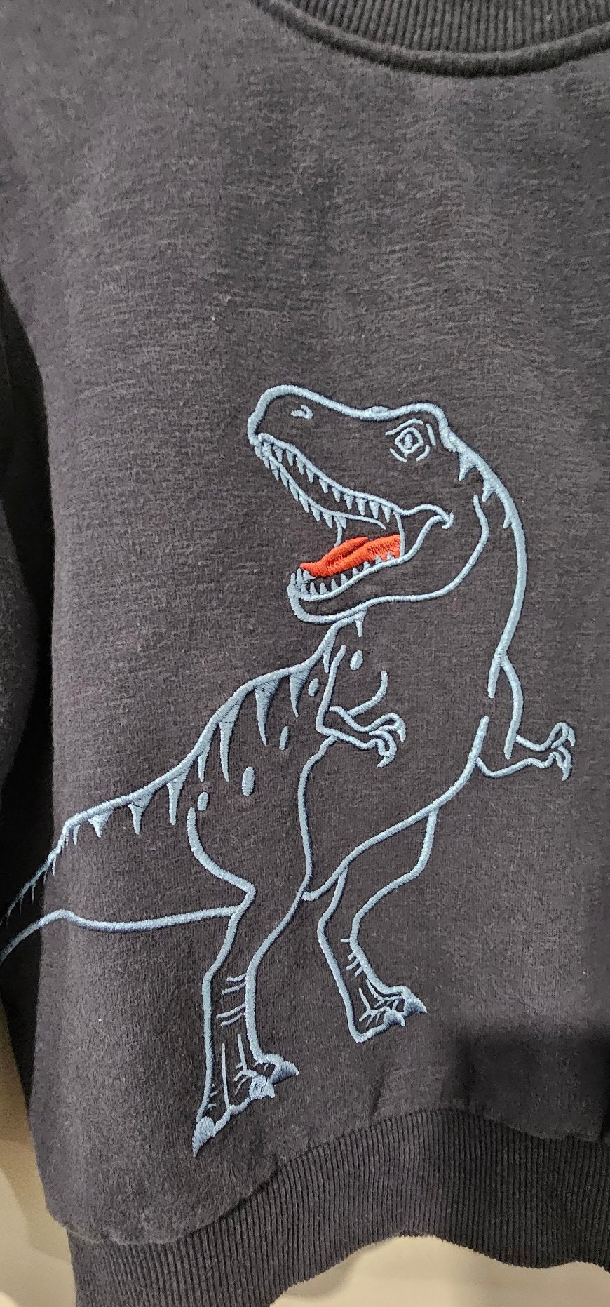 T-Rex dinosaur graphic close-up
